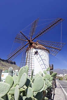 Windmill and cactus, Mogan, Gran Canaria, Canary Islands, Spain, Europe