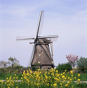 Kinderdijk Prints: Windmill, Kinderdijk
