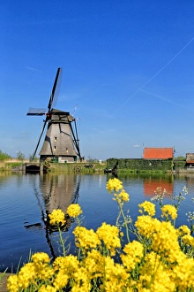 Windmill in Kinderdijk, UNESCO World Heritage Site, South Holland, Netherlands, Europe