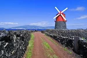 Power Collection: Windmill in lava vineyards with Faial in distance, Pico, Azores, Portugal, Europe