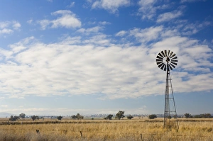 Expansive Prints: Windmill on pasture, Manilla, New South Wales, Australia, Pacific