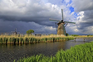 South Holland Prints: Windmills in Kinderdijk, UNESCO World Heritate Site, South Holland, Netherlands, Europe