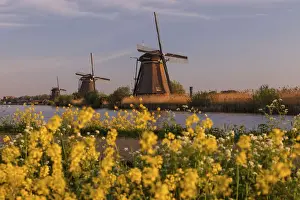 Windmills at sunrise, Kinderdijk, UNESCO World Heritage Site, South Holland, Netherlands