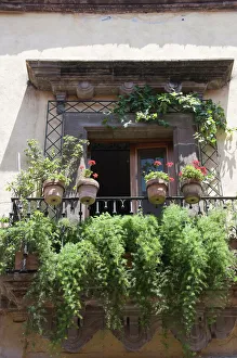 Images Dated 24th April 2008: Window and balcony in San Miguel de Allende (San Miguel), Guanajuato State