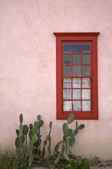 Images Dated 24th February 2009: Window, Barrio Historico District, Tucson, Arizona, United States of America