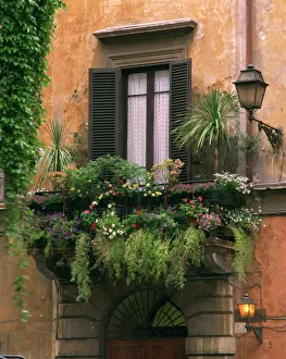 Windows Prints: Window display near Piazza Navona, Rome, Lazio, Italy, Europe