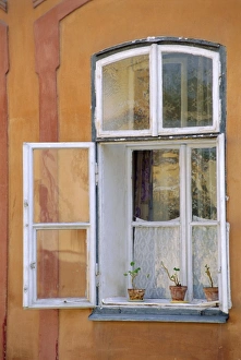 South Bohemia Prints: Window and flower pots, Tabor, South Bohemia, Czech Republic, Europe