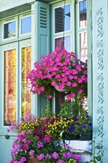 Window with flowers , France, Europe