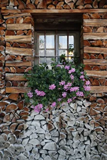 Chalet Prints: Window with flowers, wooden chalet in the French Alps
