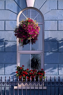 Hanging Basket Prints: Window of an hotel at Cobh (Cork), County Cork, Munster, Republic of Ireland, Europe