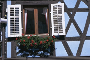 Tudor Prints: Window in timbered house, old town, Ribeauville, Alsace, France, Europe