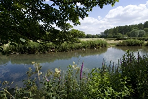 Burford Prints: The Windrush River, Burford, Oxfordshire, England, United Kingdom, Europe