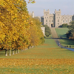 Royal Residence Prints: Windsor Castle in autumn, Berkshire, England