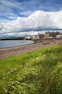 Day Time Prints: Windswept grasses by the shingle beach at Broughty Ferry