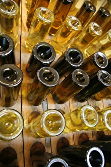 Images Dated 29th March 2009: Wine bottles, Mendoza, Argentina, South America