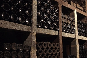 Shelf Prints: Wine bottles in wine cellar, Saarburg, Saar Valley, Rhineland-Palatinate, Germany, Europe