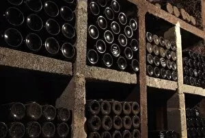 Wine bottles in wine cellar, Saarburg, Saar Valley, Rhineland-Palatinate, Germany, Europe