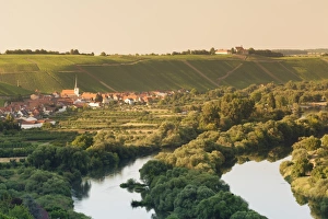 Sloping Prints: Wine village of Escherndorf and Vogelsburg Castle, Volkacher Mainschleife, Main River