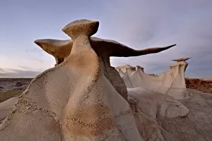 Images Dated 28th December 2010: The Wings at dusk, Bisti Wilderness, New Mexico, United States of America, North America