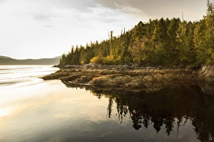National Forest Prints: Winstanley Island late afternoon reflections, Misty Fjords National Monument, Tongass
