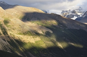 Images Dated 18th September 2009: Winston Churchill Range, Jasper National Park, UNESCO World Heritage Site