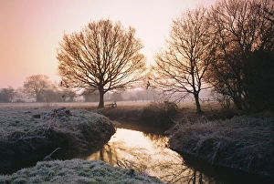 Winter dawn on the River Bourne, Chobham, Surrey, England, UK