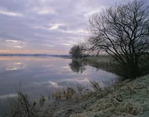 River Bank Collection: Winter fenland scene, Whittlesey, near Peterborough, Cambridgeshire, England, UK, Europe