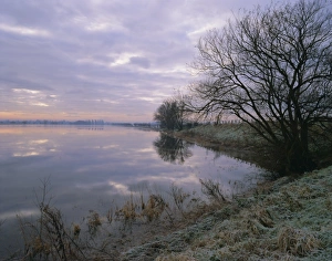 Day Break Prints: Winter fenland scene, Whittlesey, near Peterborough, Cambridgeshire, England, UK, Europe