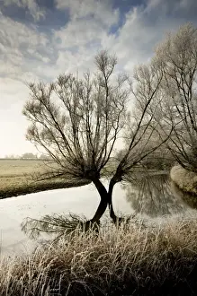 A winter flood with hoar frost occurs at the source of the River Thames at Waterhay, Gloucestershire, England, United Kingdom, Europe