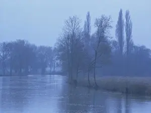 Pays De La Loire Prints: Winter landscape of bare trees and the River Loir near Le Lude, in Sarthe