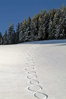 Winter landscape, Black Forest, Baden-Wurttemberg, Germany, Europe