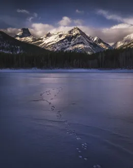 Canadian Culture Prints: Winter landscape of the Canadian Rockies at Wedge Pond, tracks of wildlife on frozen lake
