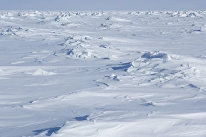 Winter Landscape Prints: Winter landscape at Churchill, Hudson Bay, Manitoba, Canada, North America