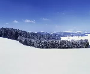 Images Dated 15th February 2010: Winter landscape, Glottertal Valley, Black Forest, Baden Wurttemberg, Germany, Europe