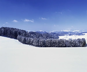Glottertal Valley Prints: Winter landscape, Glottertal Valley, Black Forest, Baden Wurttemberg, Germany, Europe