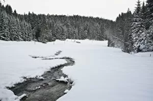Images Dated 27th December 2010: Winter landscape, near Koenigsfeld, Black Forest, Baden-Wurttemberg, Germany, Europe