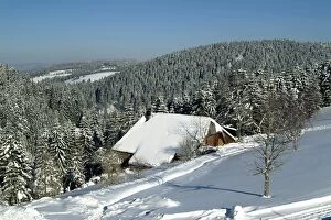 Winter landscape near Thurner, Black Forest, Baden-Wurttemberg, Germany, Europe