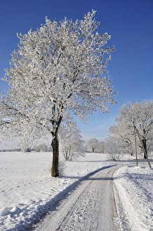 Winter landscape, near Villingen-Schwenningen, Black Forest-Baar (Schwarzwald-Baar) district