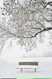 Images Dated 4th December 2010: Winter landscape, near Villingen-Schwenningen, Black Forest-Baar (Schwarzwald-Baar) district
