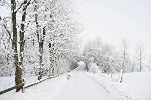 Images Dated 4th December 2010: Winter landscape, near Villingen-Schwenningen, Black Forest-Baar (Schwarzwald-Baar) district