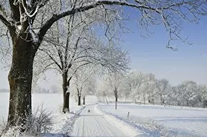 Images Dated 4th December 2010: Winter landscape, near Villingen-Schwenningen, Black Forest-Baar (Schwarzwald-Baar) district