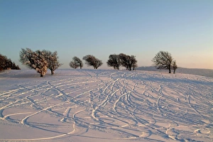 Images Dated 8th July 2005: Winter landscape at Schauinsland, Black Forest, Baden-Wurttemberg, Germany, Europe