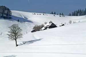Images Dated 8th July 2005: Winter landscape at Schauinsland, Black Forest, Baden-Wurttemberg, Germany, Europe