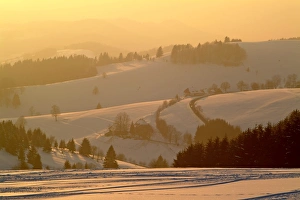 Images Dated 8th July 2005: Winter landscape at Schauinsland, Black Forest, Baden-Wurttemberg, Germany, Europe