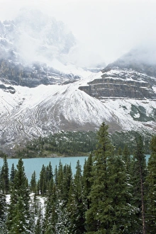 Rocky Mountain Prints: Winter in the Rocky Mountains near Banff, Alberta, Canada, North America