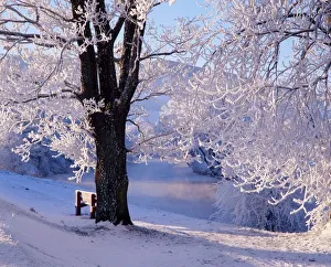 Season Prints: Winter scene beside the River Tay