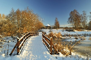 Covered Prints: Winter scene, Schwenninger Moos nature reserve