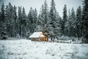 Retreat Prints: Winter scene of wooden house surrounded by snow-covered fir trees in Poland