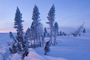Winter Scenery, Churchill, Manitoba, Canada