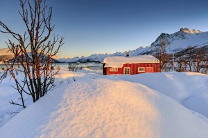 Arctic Gallery: The winter sun illuminates a typical Norwegian red house surrounded by fresh snow